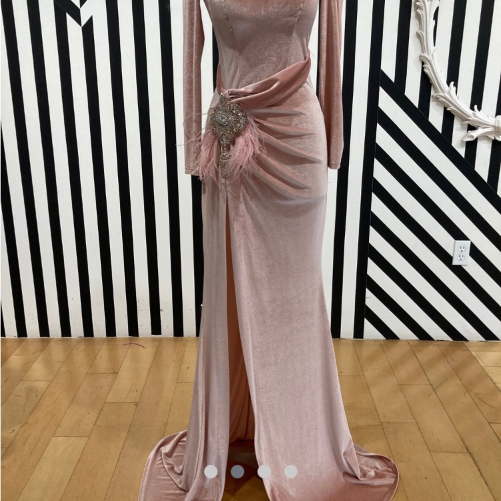 Blush link velvet dress attached feather brooch